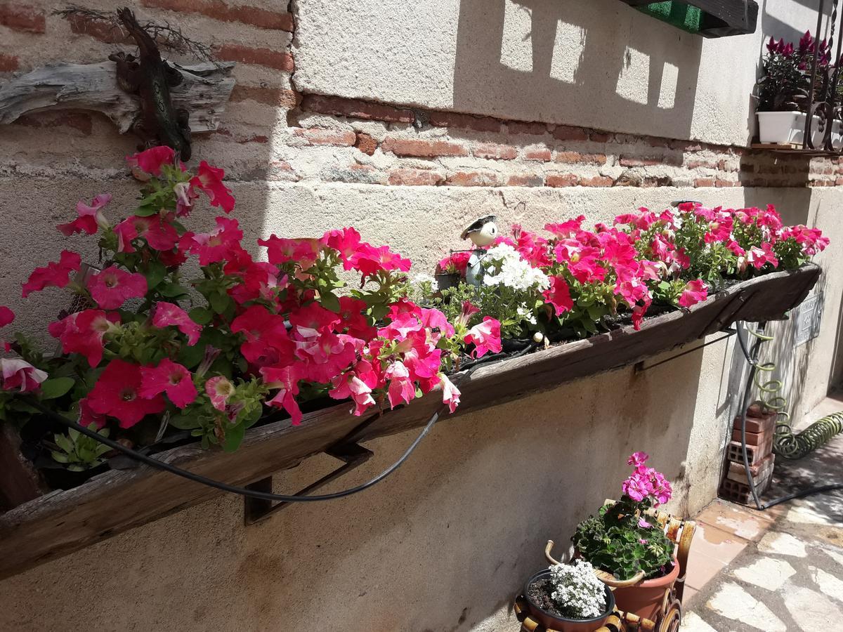 Casa Rural La Casa De Las Manuelas Horcajo de las Torres Dış mekan fotoğraf